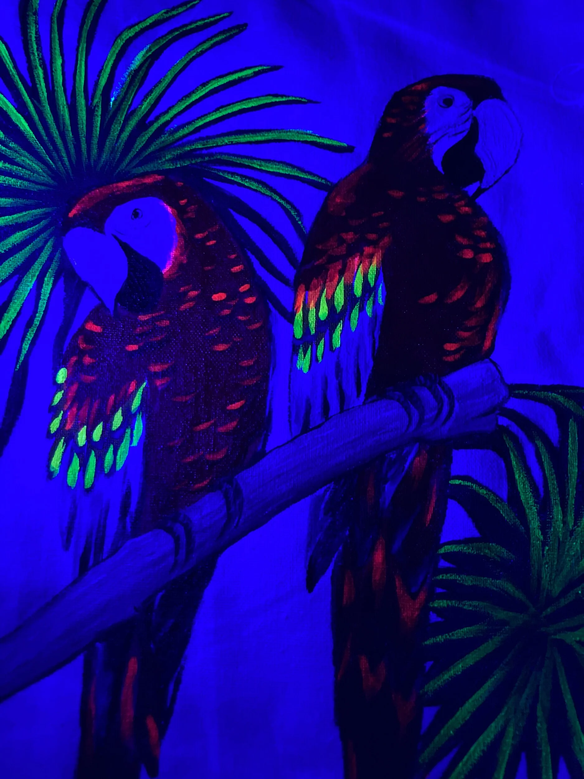 7F8D6EA8-62FB-4D57-983F-80D932A00626