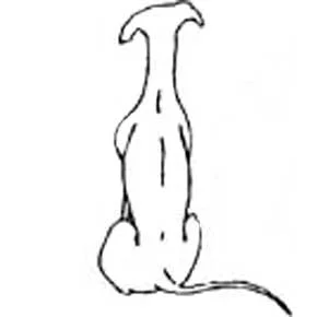 Mary Downing brags...