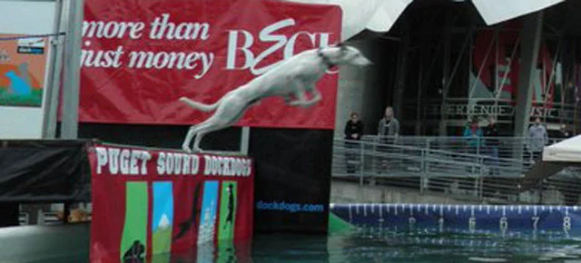 Diane Salts brags...