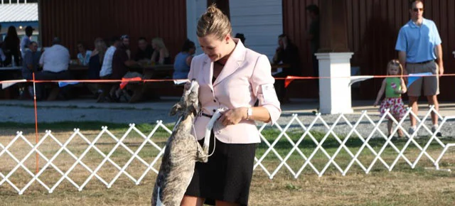 All the News... September 2011