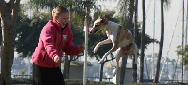 All the News... October 2011