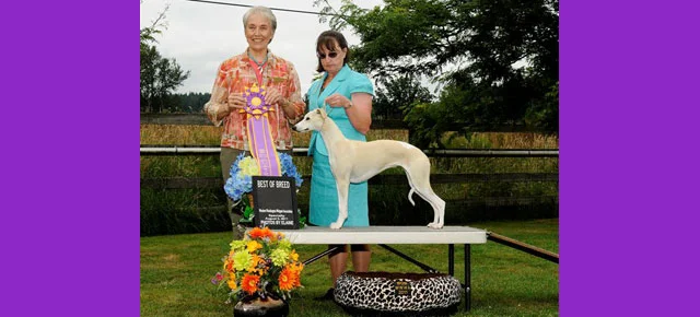 2011 WWWA Specialty Critique and Photos