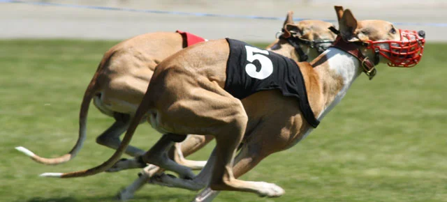 WWWA March 23/24, 2013 Race Meet Results