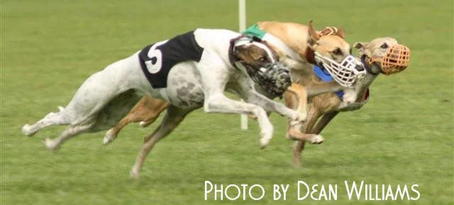 WWWA to host 2014 NAWRA/NOTRA Racing Nationals