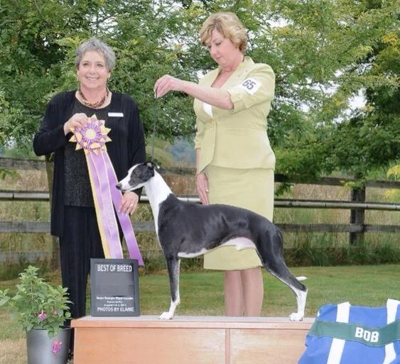 2013 WWWA Specialty Critiques and Photos