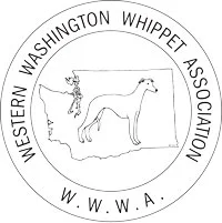 Social media and website news