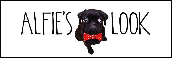 alfie.png