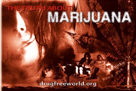 marijuana_booklet.jpg