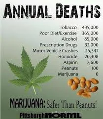 Marijuana deathcoutn.jpg