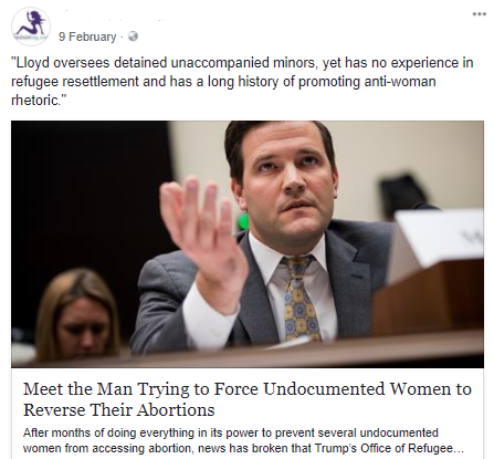 Feminist Facebook Article.png