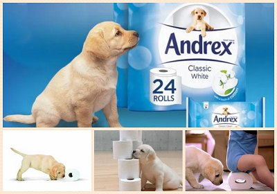Advertising doesnt work on med Andrex Puppy.png