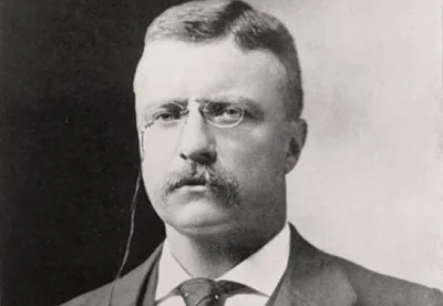 “Comparison is the thief of joy” - Theodore Roosevelt