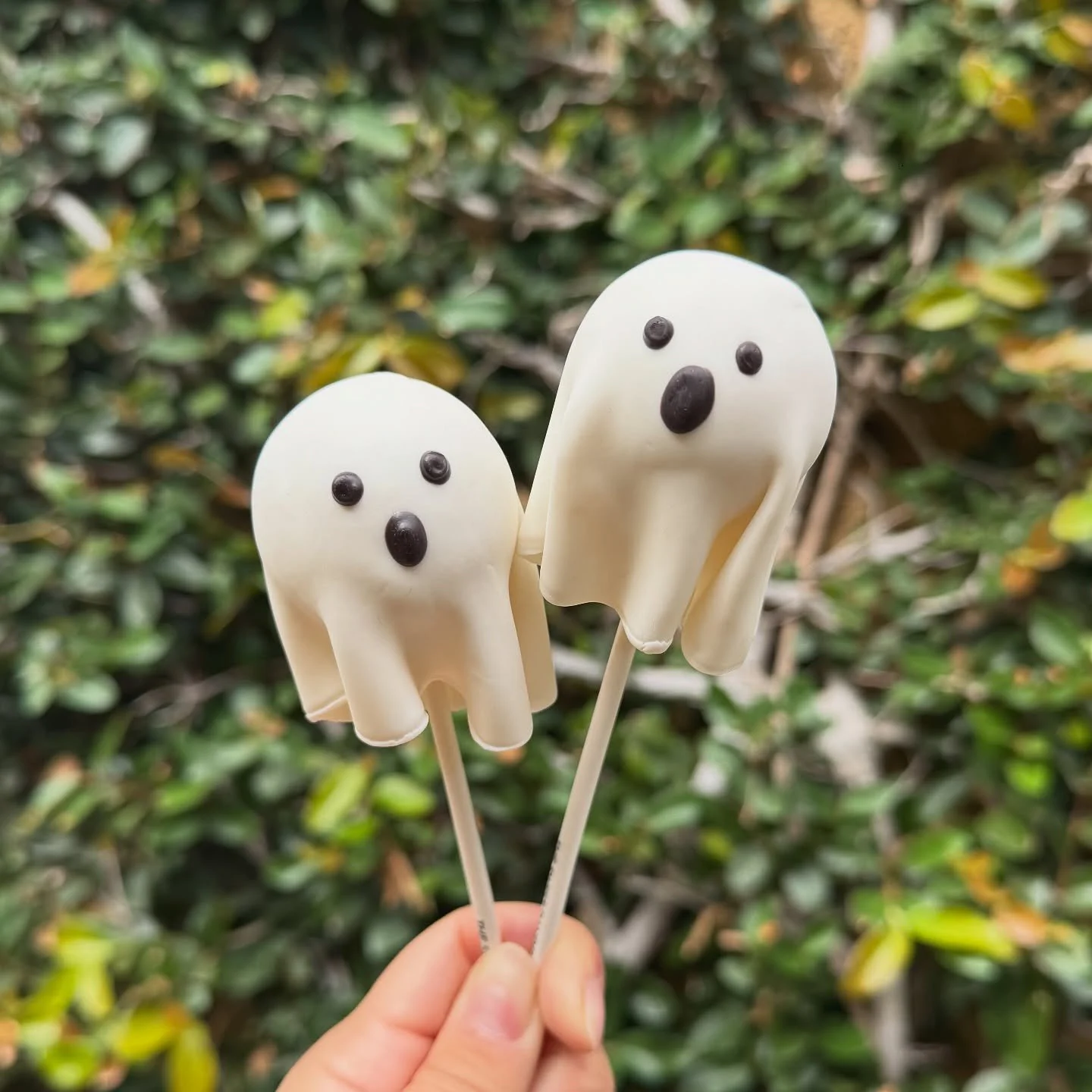 Two astonished ghosts 👻😳

#cakepop #cakepops #cakepopart #dessert #sweets #sandiegosmallbusiness #ghost #ghosts #halloween