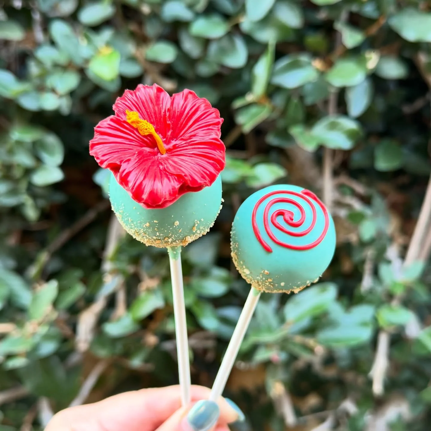 Moana themed cake pops 🌺🌊

#cakepops #cakepopart #sandiegosmallbusiness #moana #disney