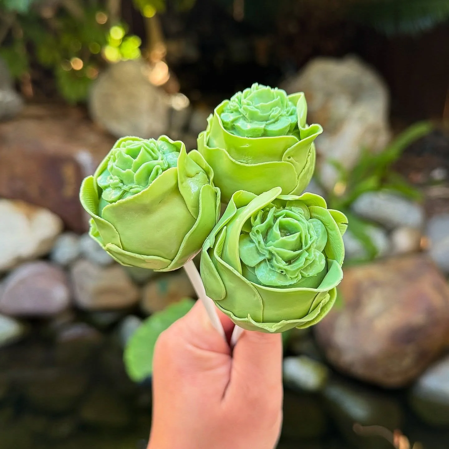 My cabbages! 🥬🥬🥬

#cakepops #cakepopart #sandiegosmallbusiness #cabbages #vegetables
