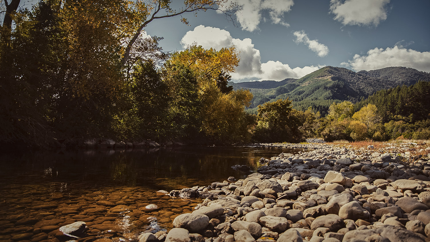 IVDM Photography_landscape photography_commercial photography_neslon river autumn.jpg