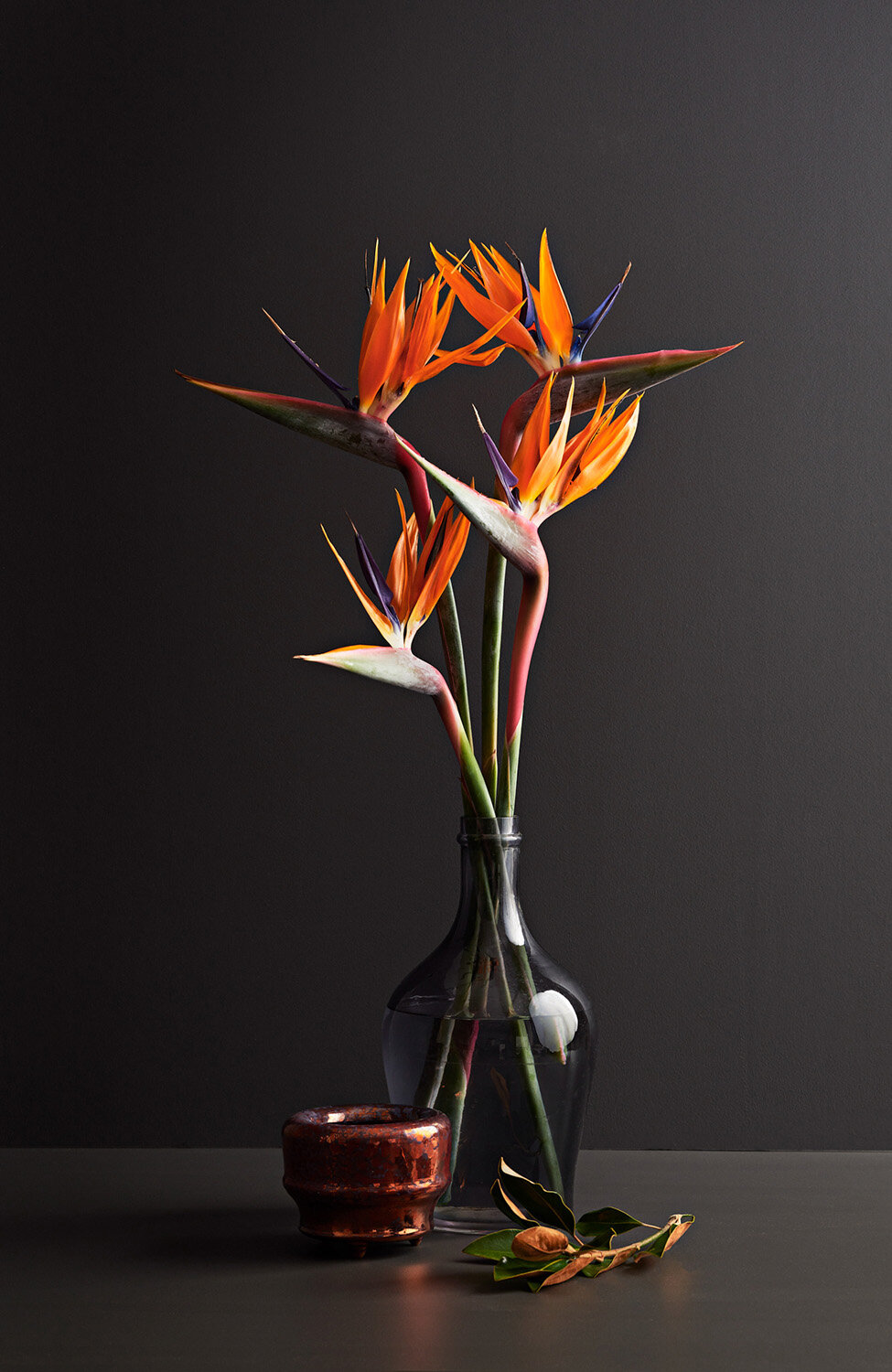 IVDM Photography_NZ Flowers week_Black.jpg