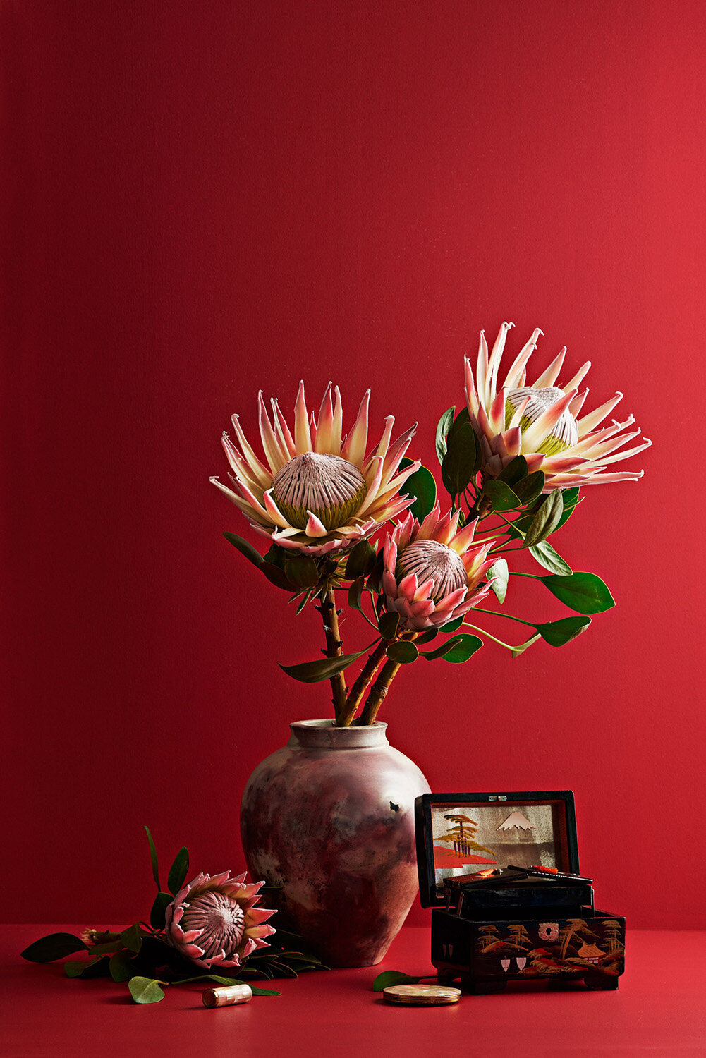 IVDM Photography_NZ Flowers Weeks_Red.jpg