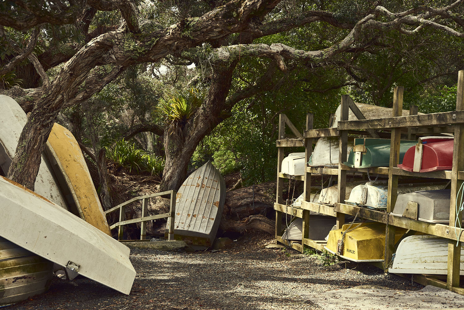 IVDM Photography_Boat yard in the trees New Zealand.jpg