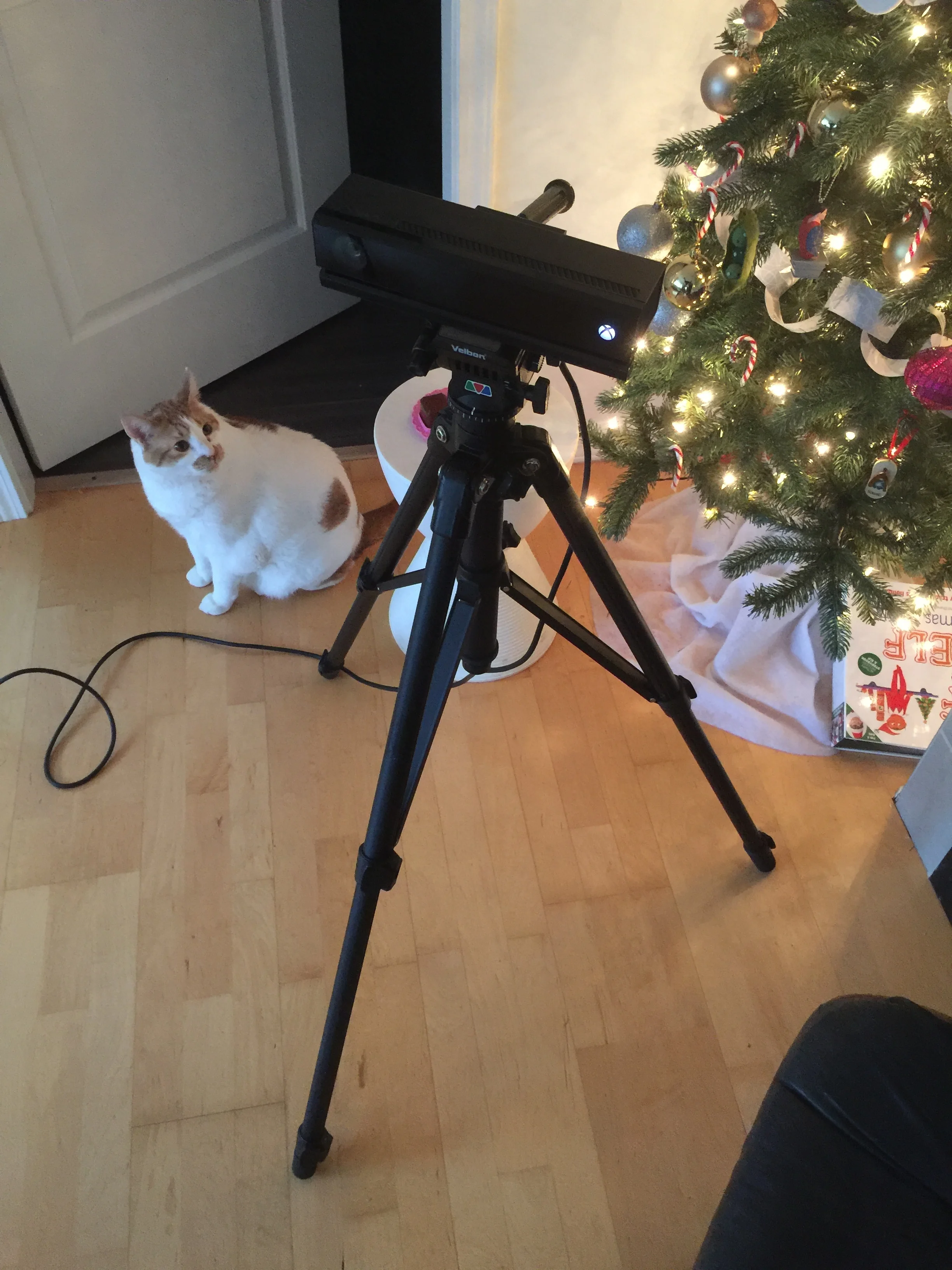 HomeBrew Motion Capture — Little Mountain Animation