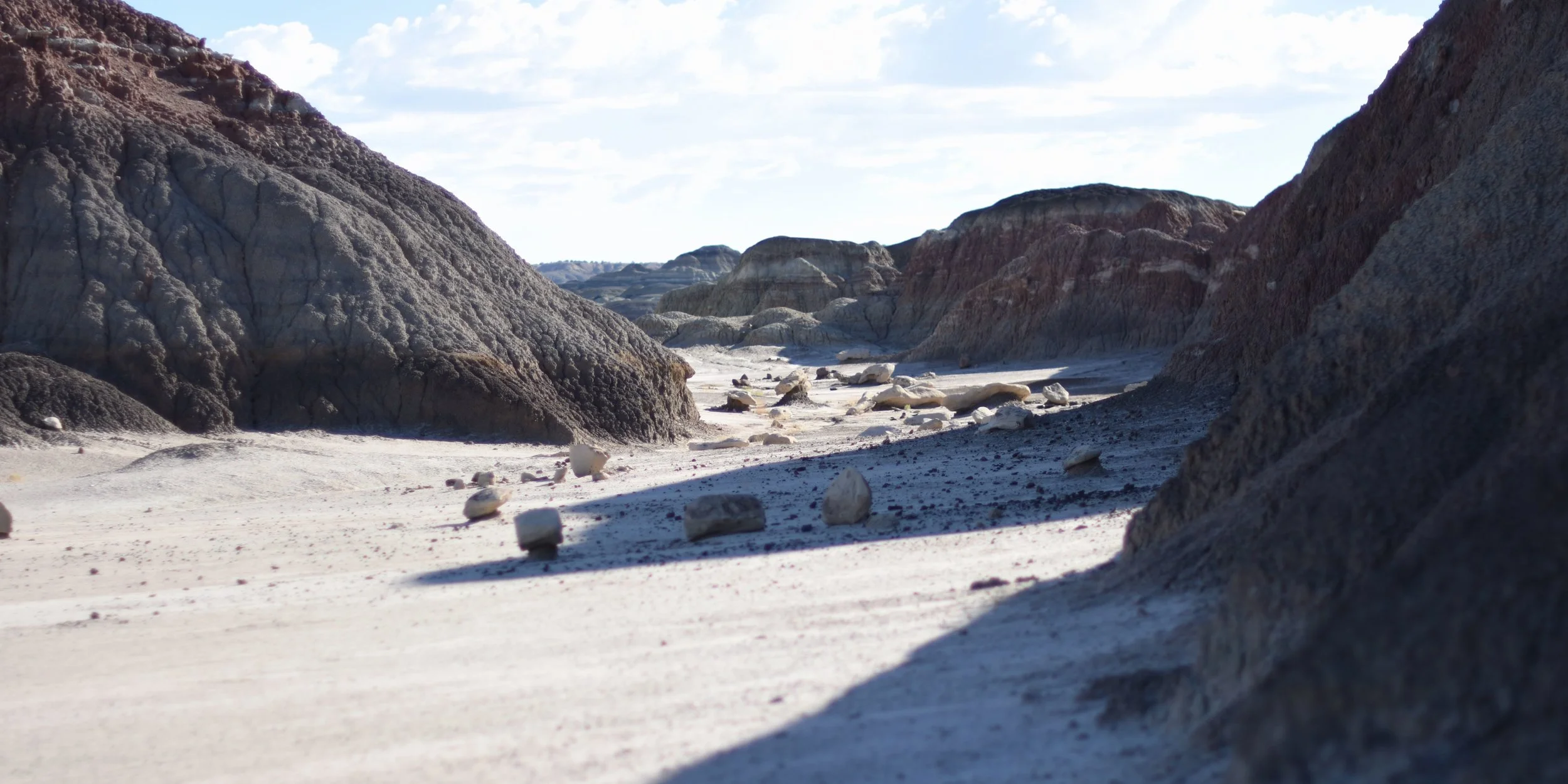 Bisti Badlands