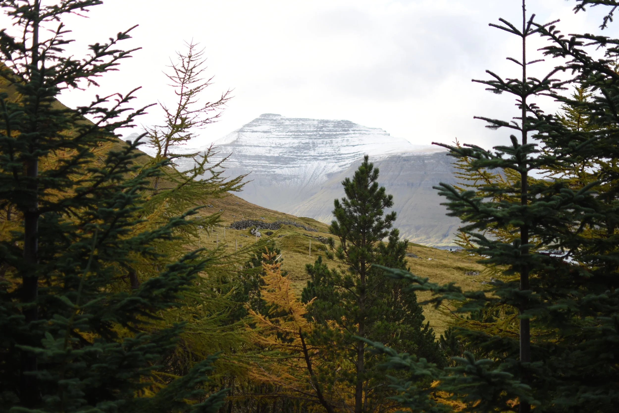 FAROE ISLANDS SOUNDSCAPE