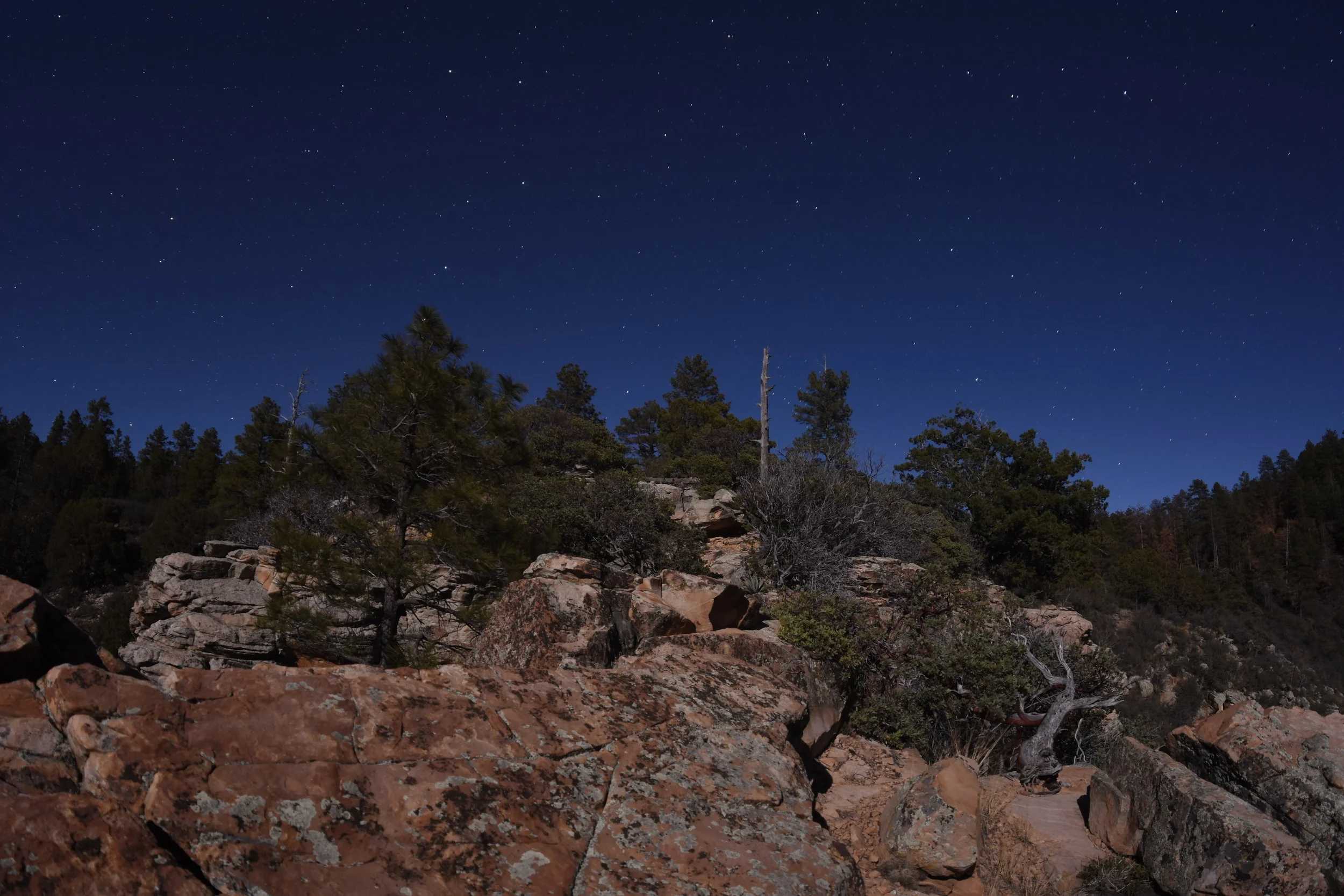 SECRET MOUNTAIN FOREST SOUNDSCAPE