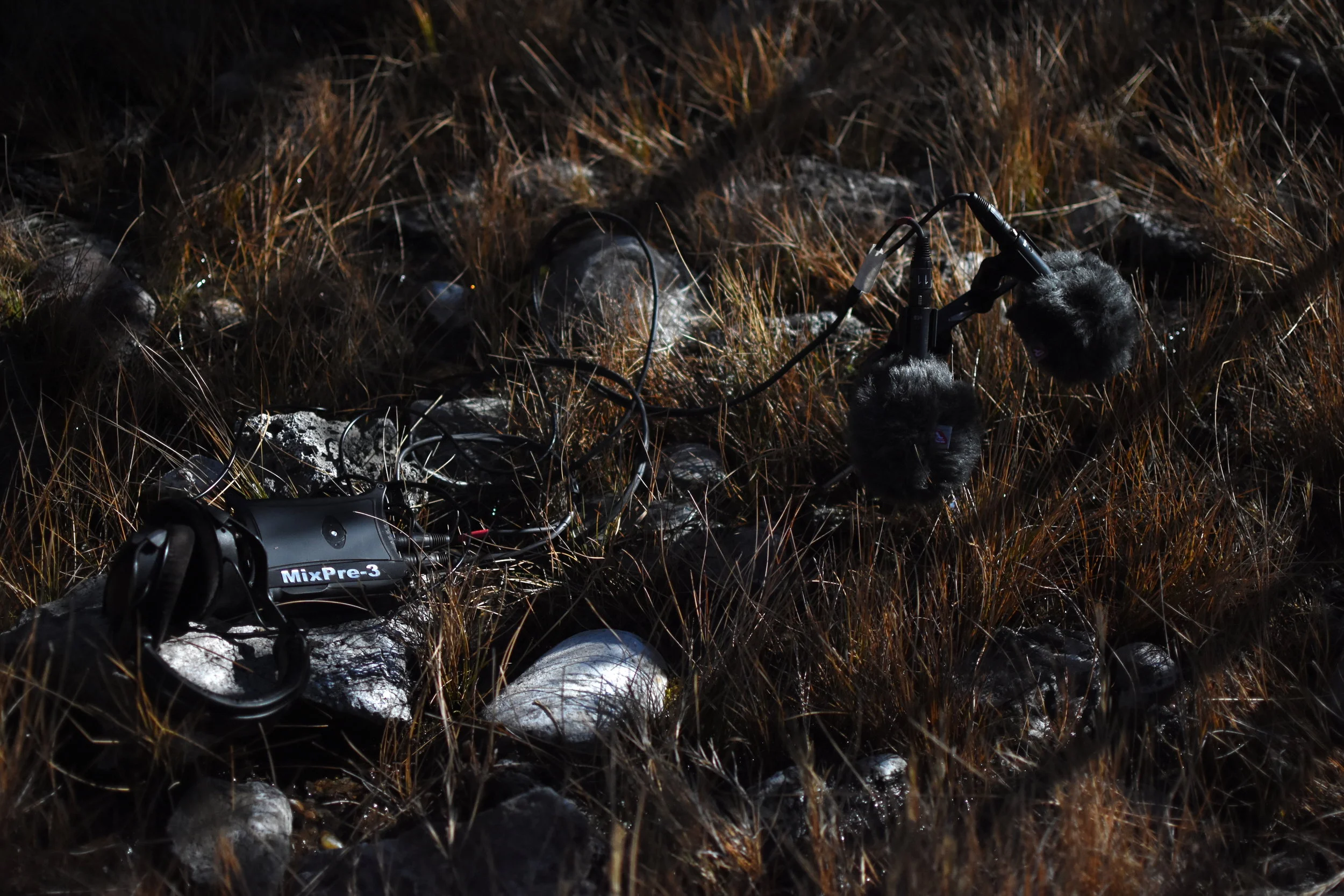 PAJARITO SNOWMELT SOUNDSCAPE