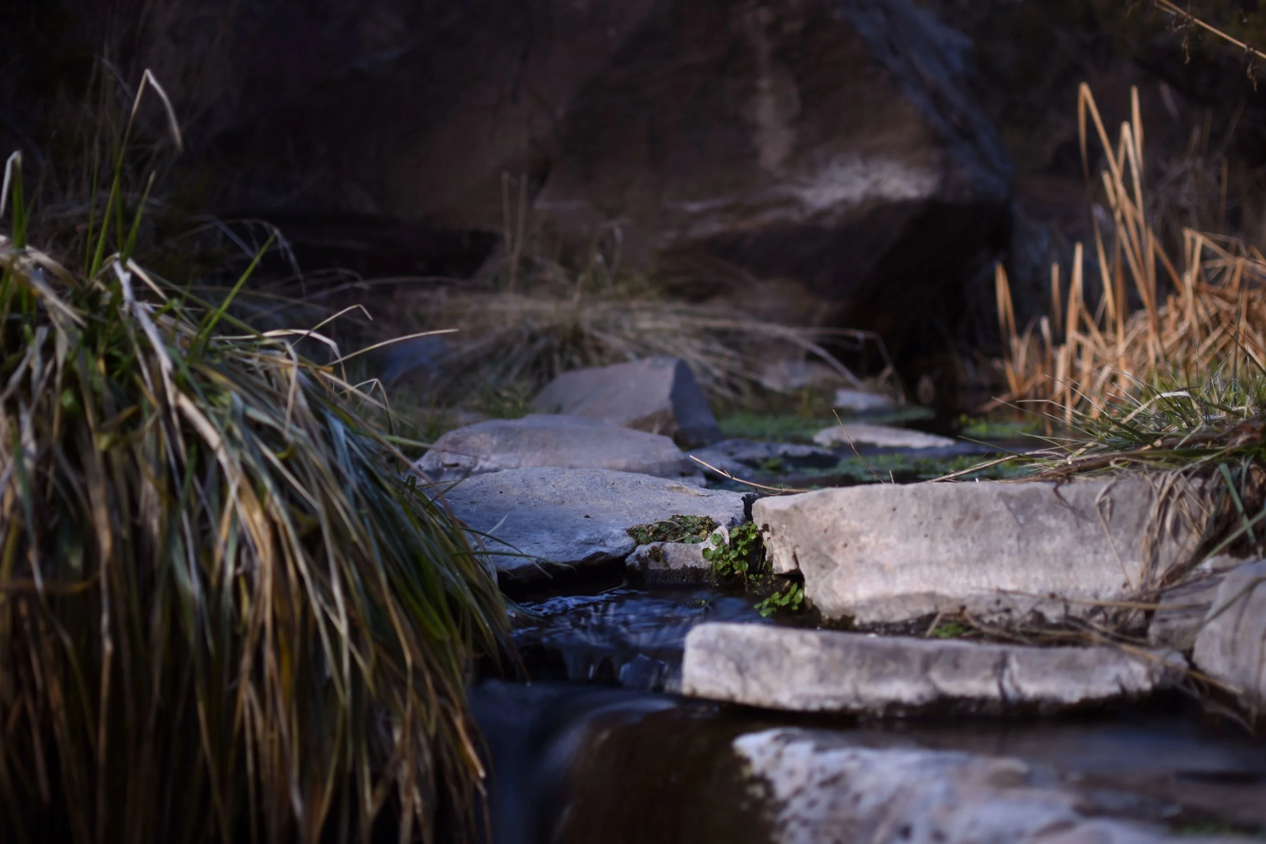 PAJARITO CANYON RIVERSIDE SOUNDSCAPE