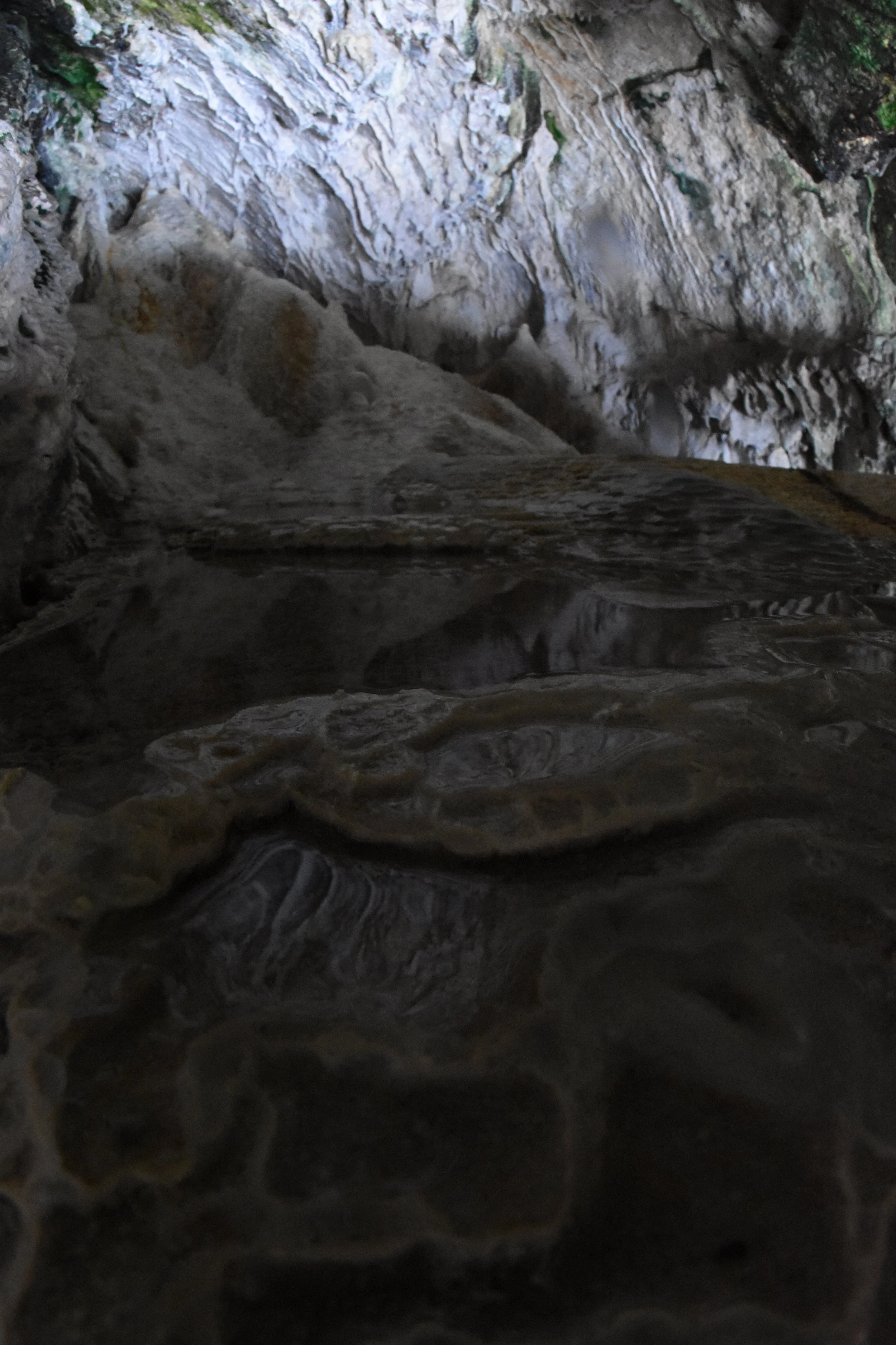 JEMEZ SODA DAMN SPRING SOUNDSCAPE