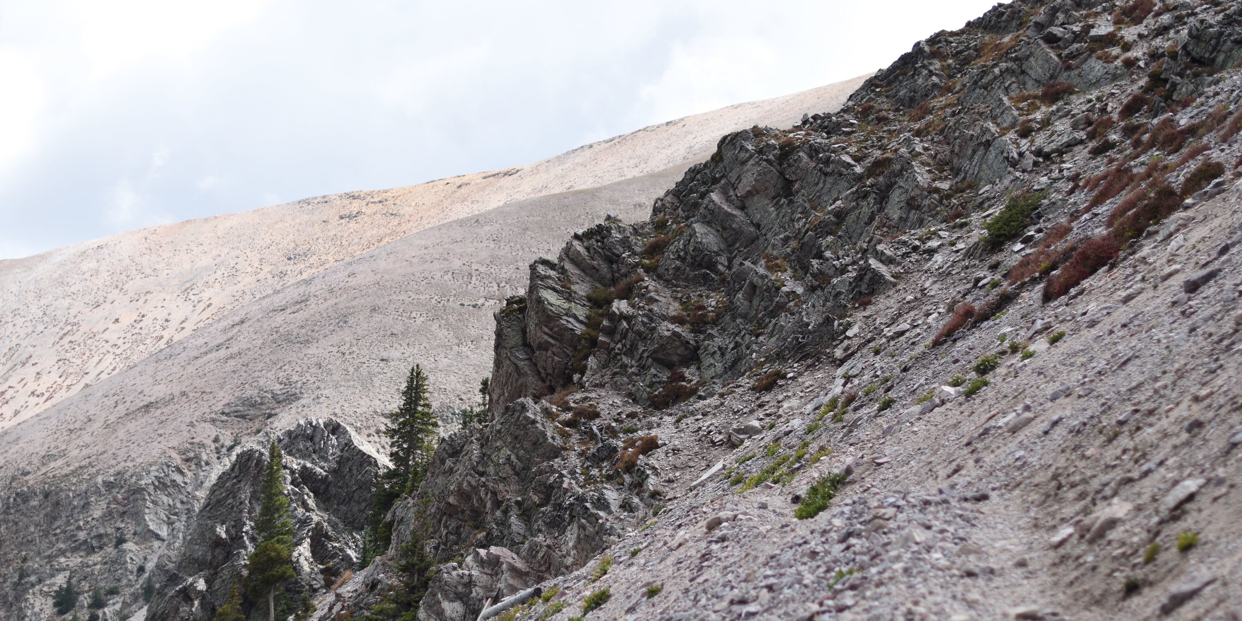 NORTHERN PECOS WILDERNESS