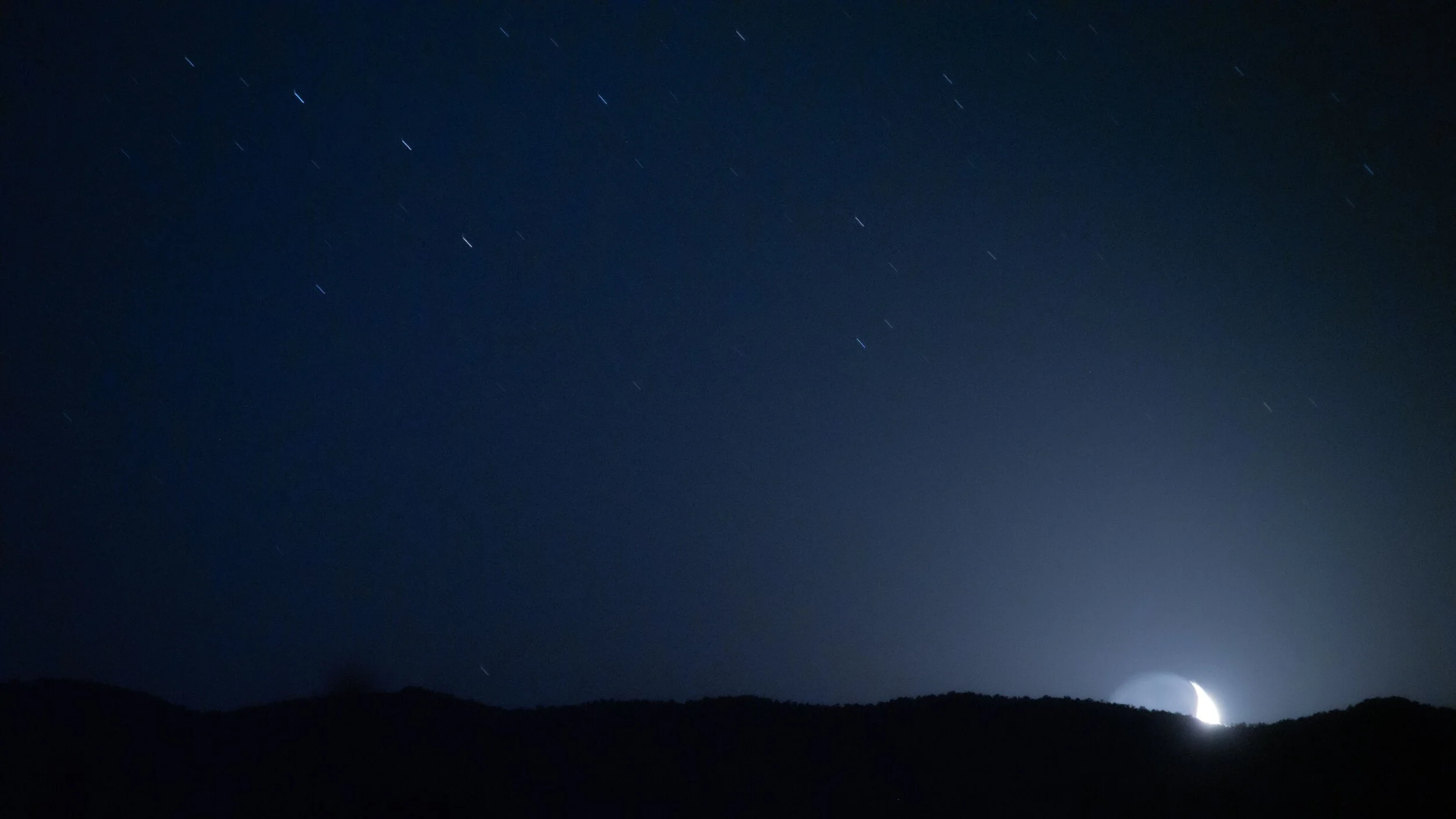 FILM HEADER 2.jpg