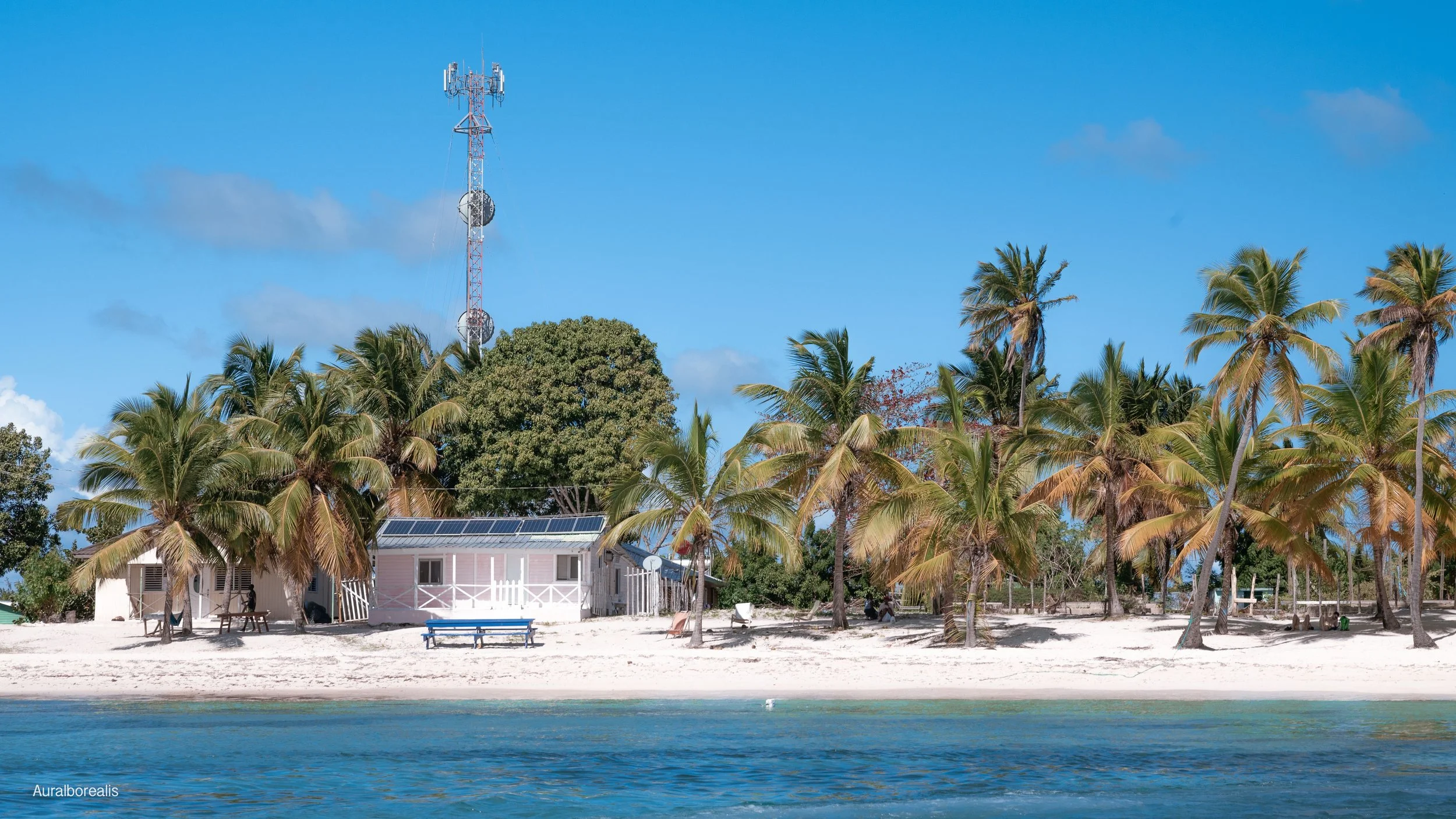 SAONA-16.jpeg