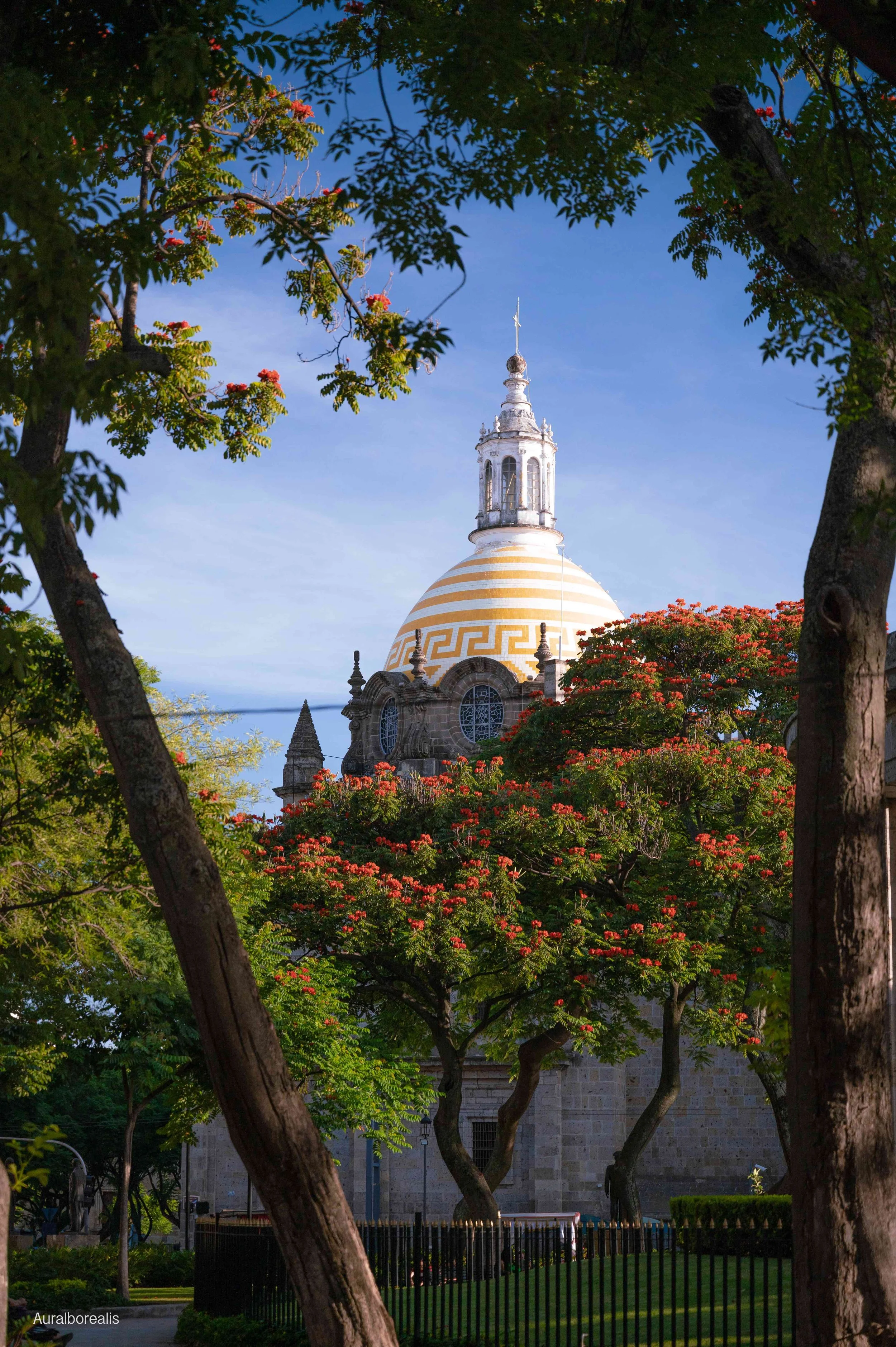 CDMX AND GUADALAJARA