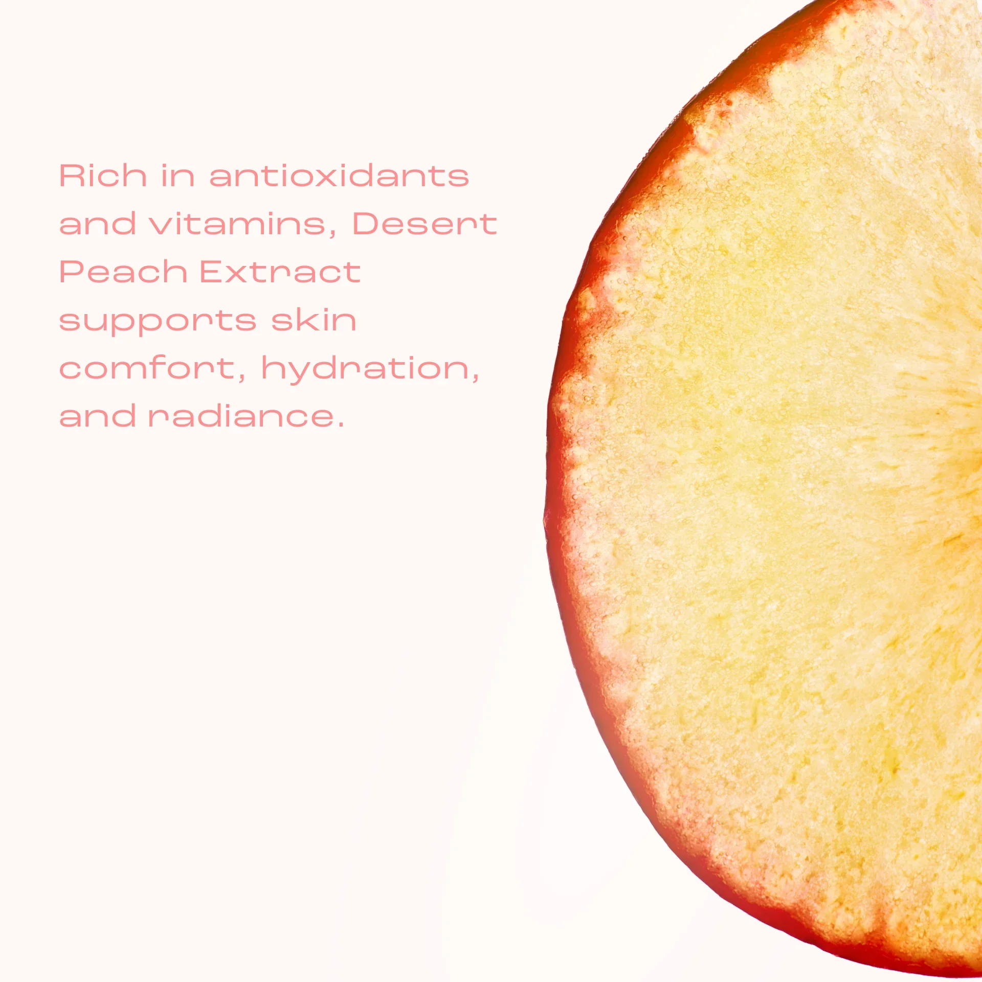 GlycolicScrubDesertPeachl_antioxidants_960x960_e39bae9c-7ac2-4734-9f89-26fc0631949f_1920x.webp