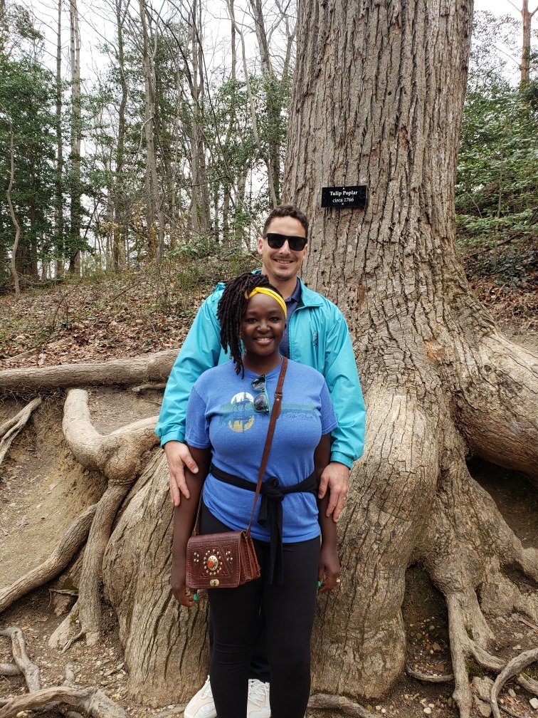 A couple poses in front of a large tree labeled 'Tulip Poplar circa 1766' in a forested area, with visible exposed roots and surrounding trees.
