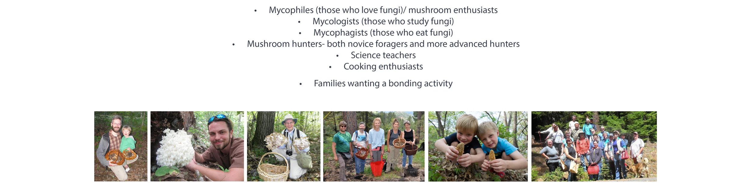 potential users-02.jpg