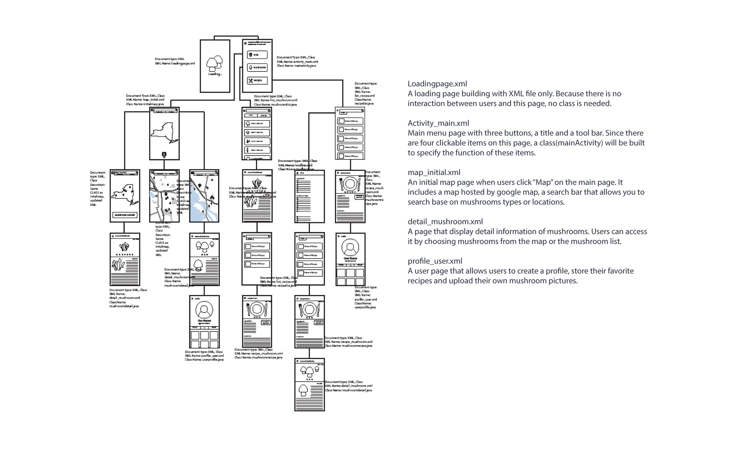 Mushroom Pages for Portfolio.jpg