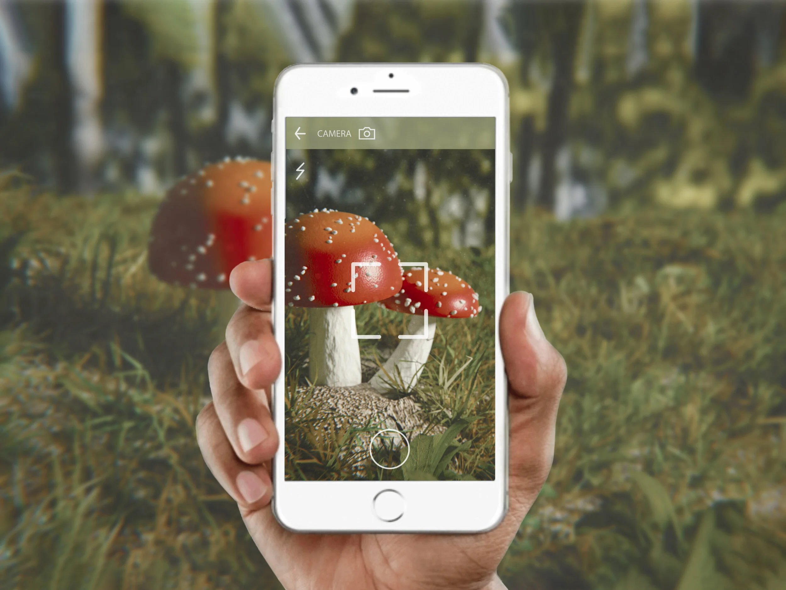 mushroom cover new_04-1.jpg