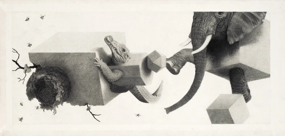 Floating Forms | Pencil Drawing 24 x 11”