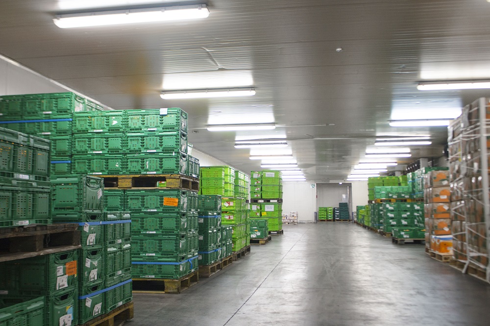 Produce — Fresh Direct