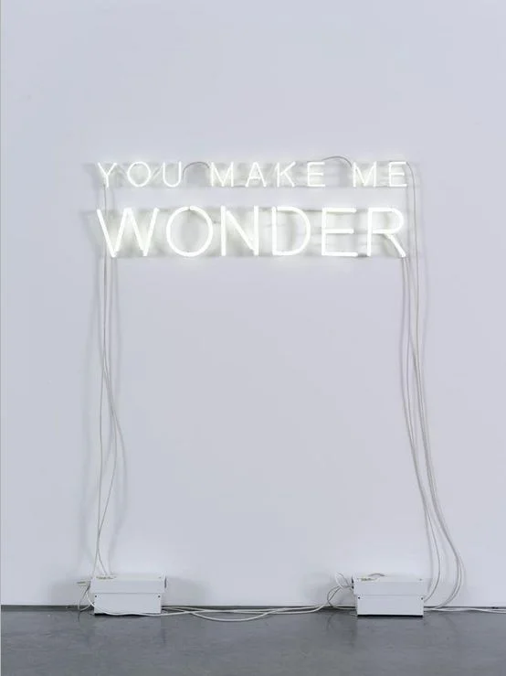 image sourced via thewildmagazine