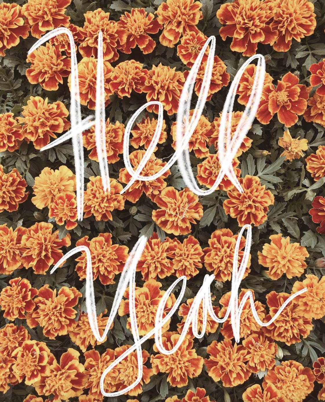 image via A Design Kit