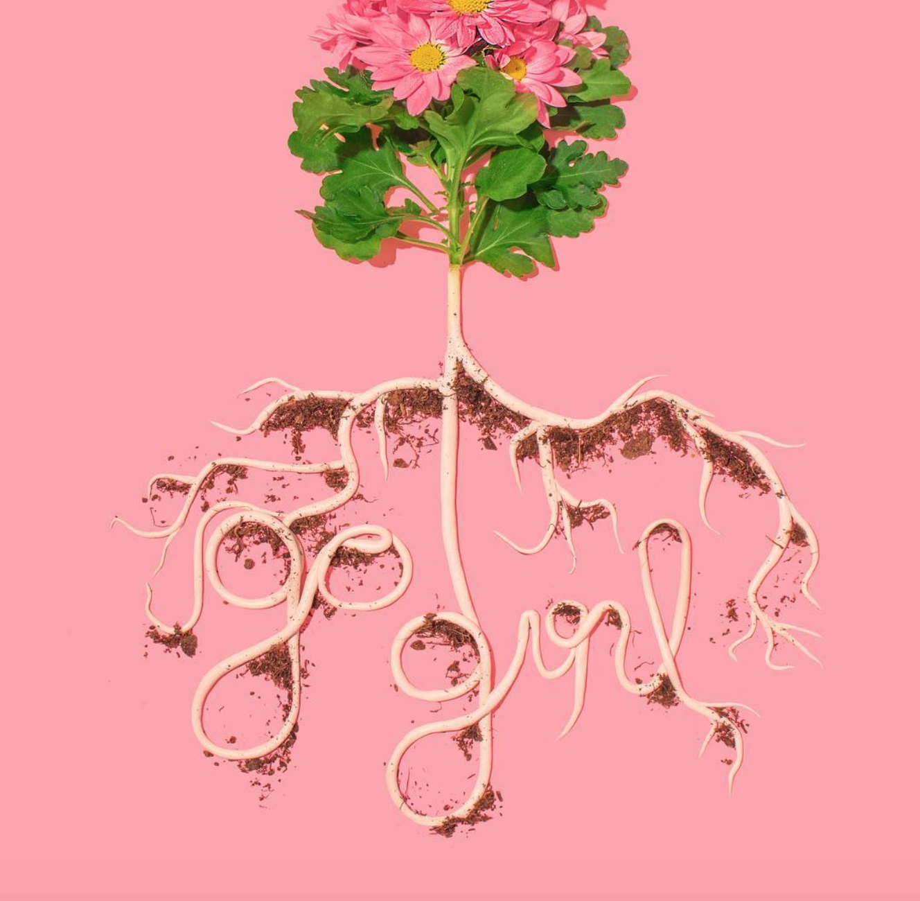 image via Lizzie Darden
