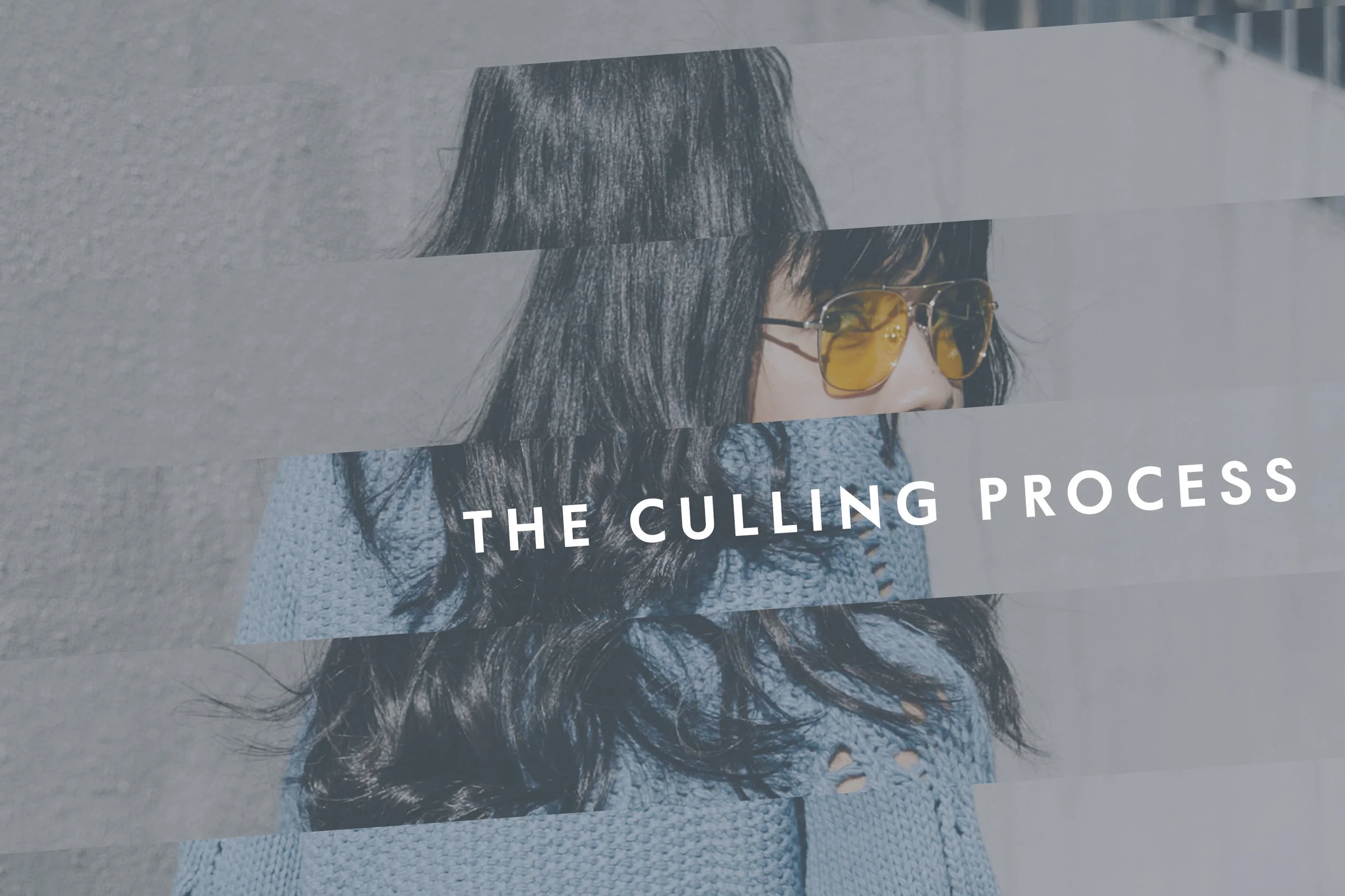 The Culling Process 1.jpg