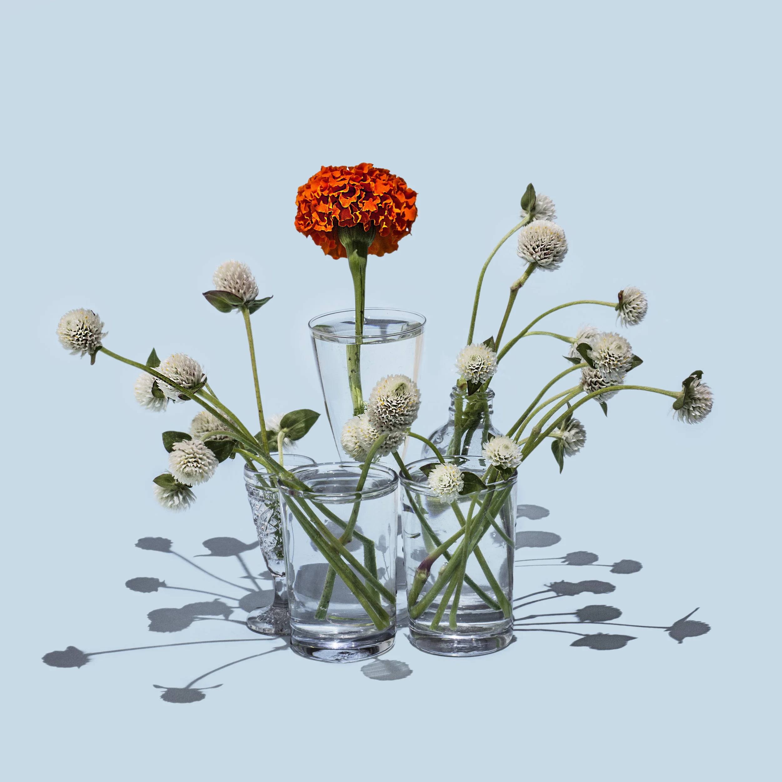 Image via Suzanne Saroff
