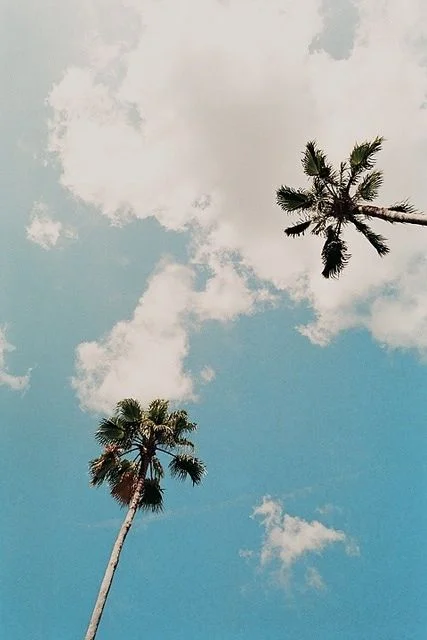 Image via Pinterest