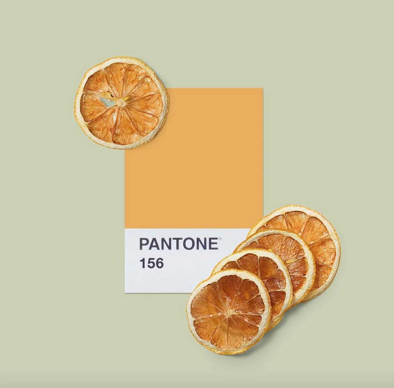 image via mydailypantone