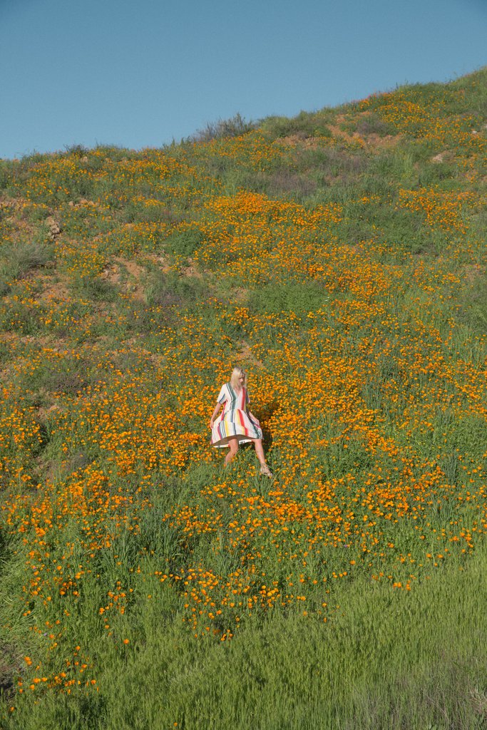 image via Jimmy Marble