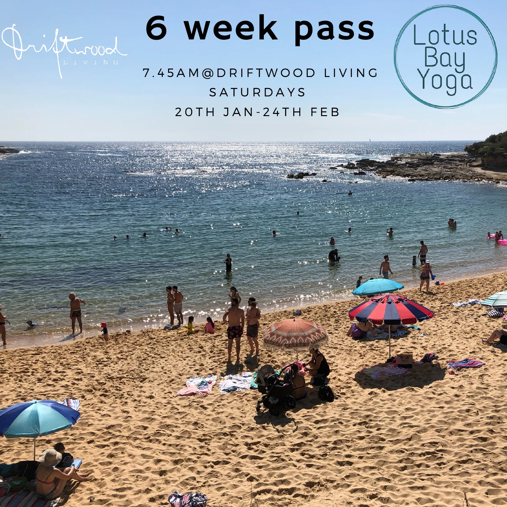 6weekpass20thJan24thFeb.jpg
